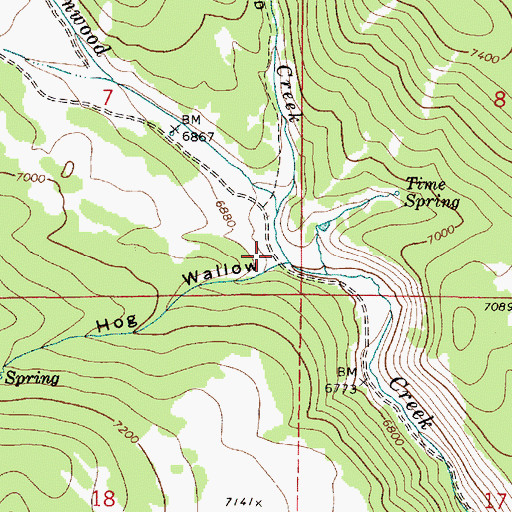 Topographic Map of Hog Wallow, ID