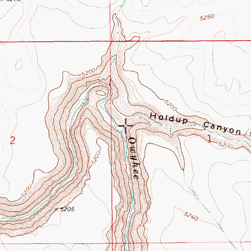 Topographic Map of Holdup Canyon, ID