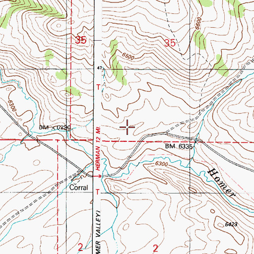 Topographic Map of Homer Valley, ID