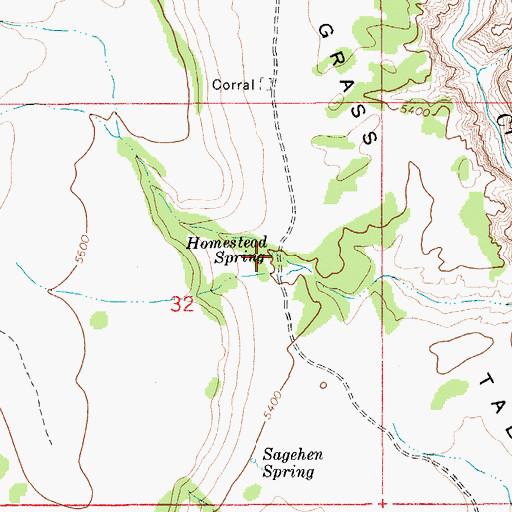 Topographic Map of Homestead Spring, ID