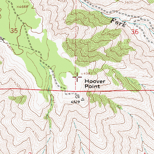 Topographic Map of Hoover Point, ID