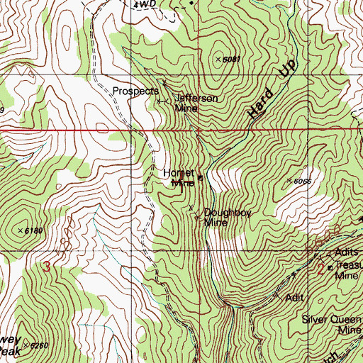 Topographic Map of Hornet Mine, ID