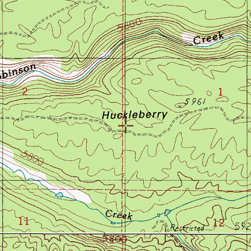 Topographic Map of Huckleberry Ridge, ID