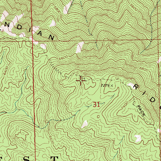 Topographic Map of Indian Ridge, ID