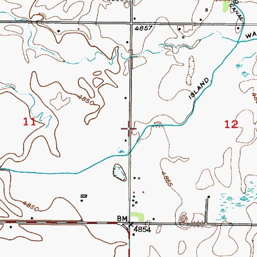 Topographic Map of Island Ward Canal, ID