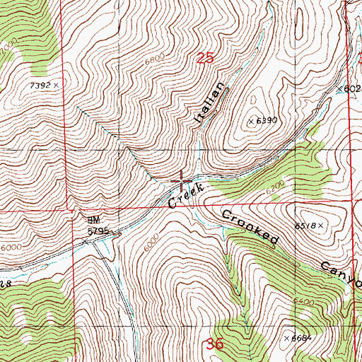 Topographic Map of Italian Gulch, ID