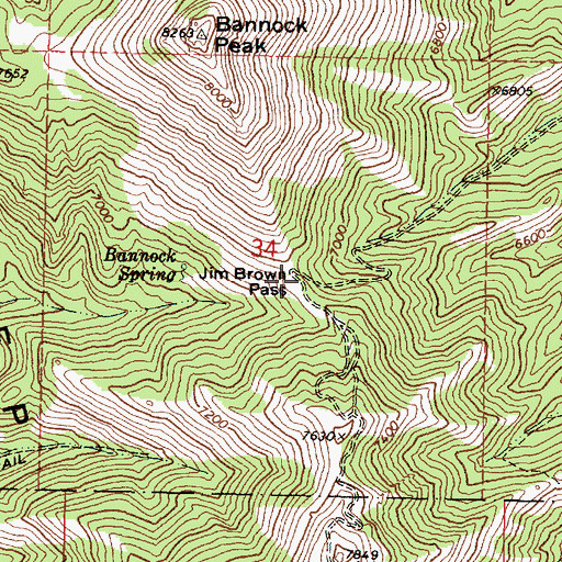 Topographic Map of Jim Brown Pass, ID