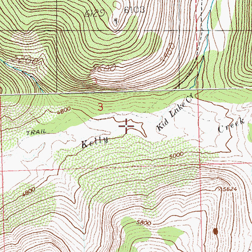 Topographic Map of Kid Lake Creek, ID