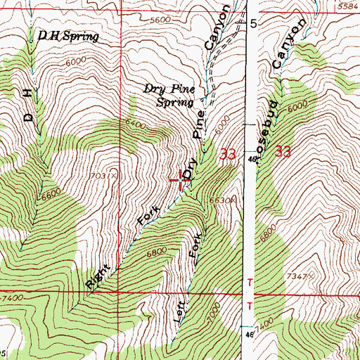 Topographic Map of Left Fork Dry Pine Canyon, ID