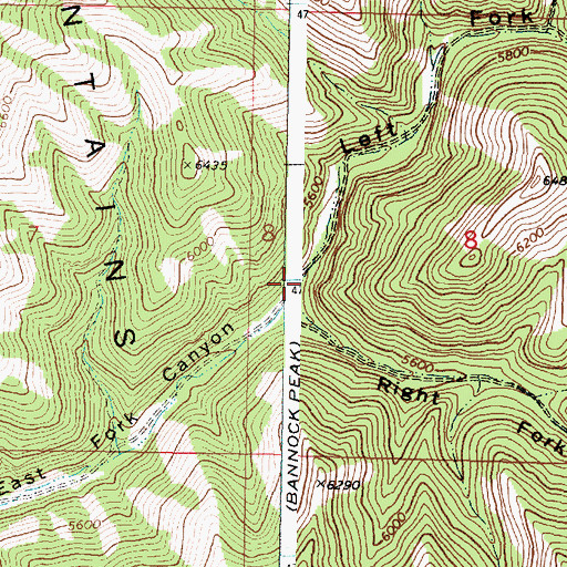 Topographic Map of Left Fork East Fork Canyon, ID