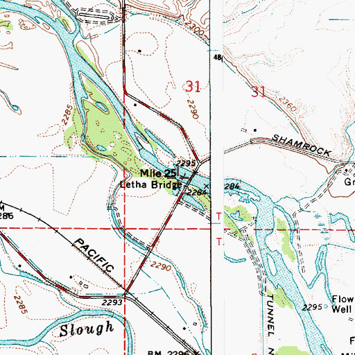 Topographic Map of Letha Bridge, ID