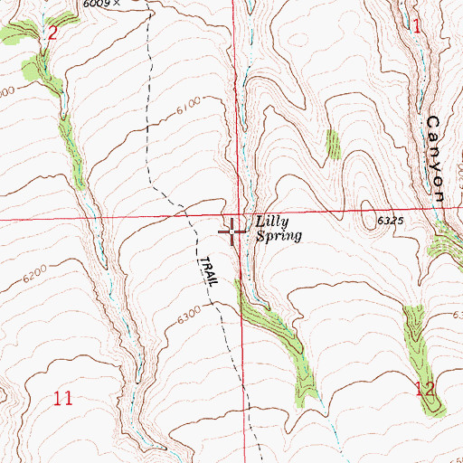 Topographic Map of Lilly Spring, ID