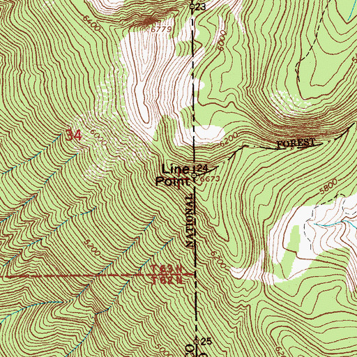 Topographic Map of Line Point, ID