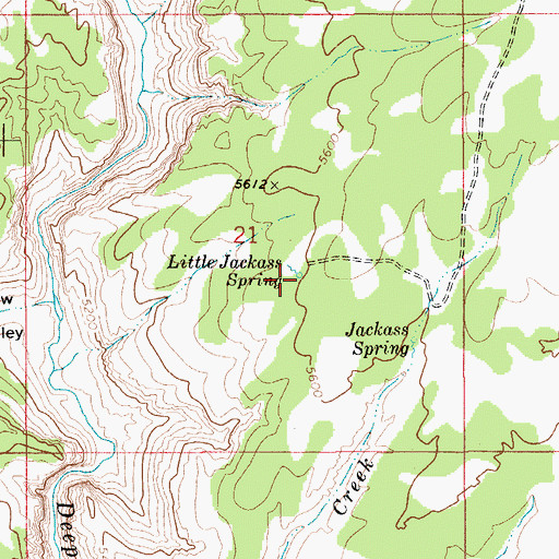 Topographic Map of Little Jackass Spring, ID