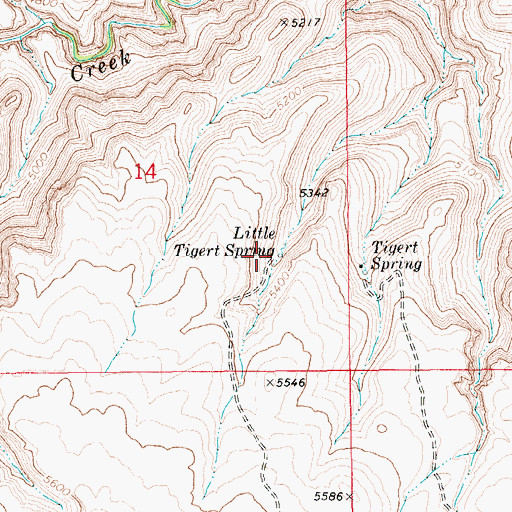 Topographic Map of Little Tigert Spring, ID
