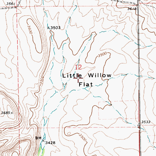 Topographic Map of Little Willow Flat, ID