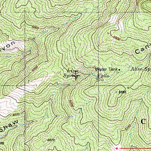 Topographic Map of Lion Spring, AZ