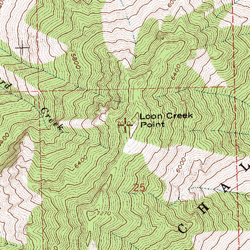 Topographic Map of Loon Creek Point, ID