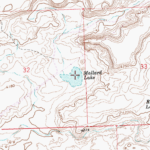 Topographic Map of Mallard Lake, ID