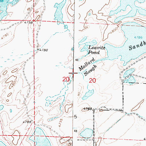 Topographic Map of Mallard Slough, ID