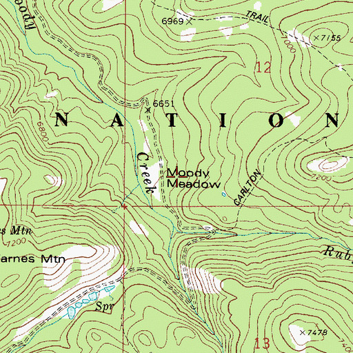 Topographic Map of Moody Meadow, ID