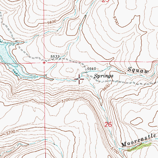 Topographic Map of Moorcastle Creek, ID