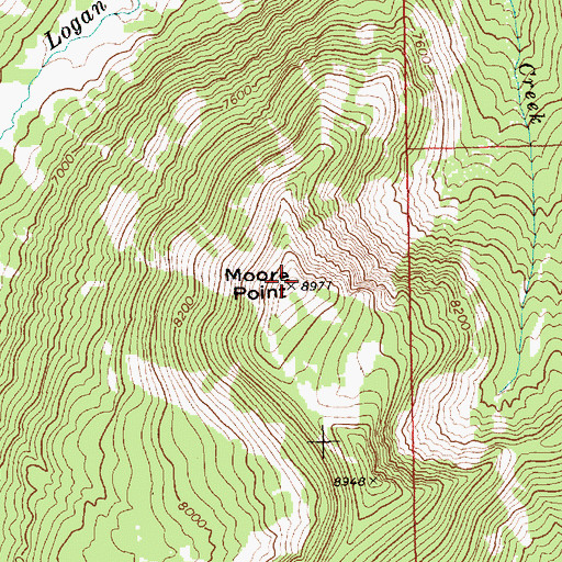 Topographic Map of Moore Point, ID