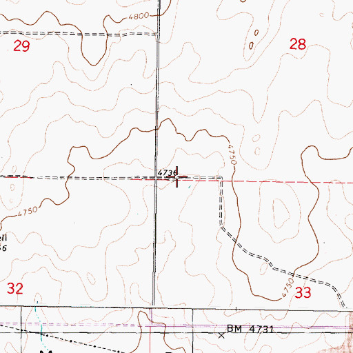 Topographic Map of Morgans Pasture, ID
