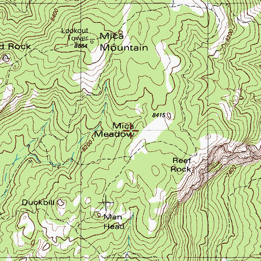 Topographic Map of Mica Meadow, AZ