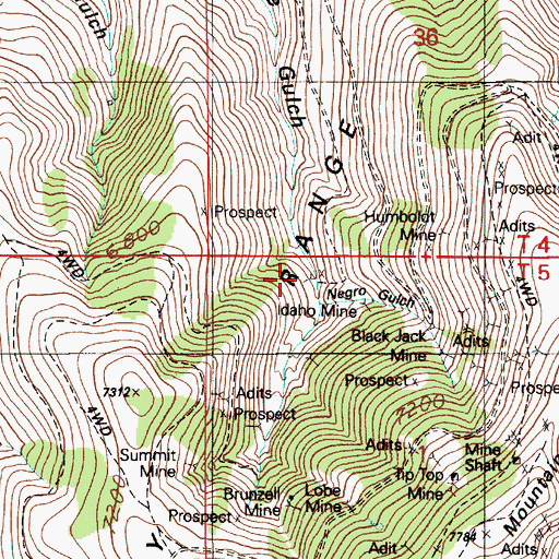Topographic Map of Negro Gulch, ID