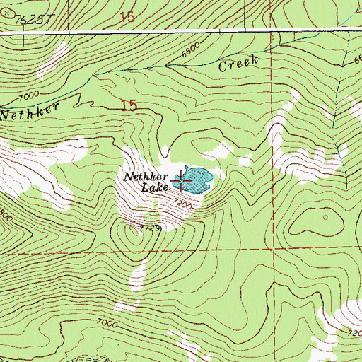 Topographic Map of Nethker Lake, ID