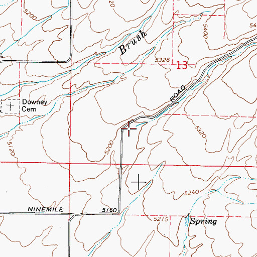 Topographic Map of Ninemile Creek, ID