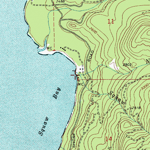 Topographic Map of North Fork Squaw Creek, ID