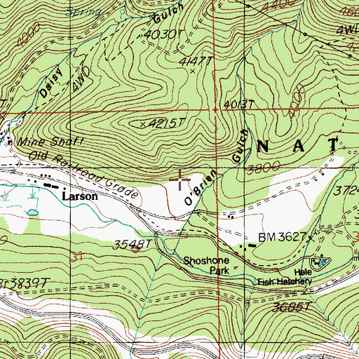 Topographic Map of O'Brien Gulch, ID