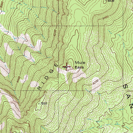 Topographic Map of Mule Ears, AZ
