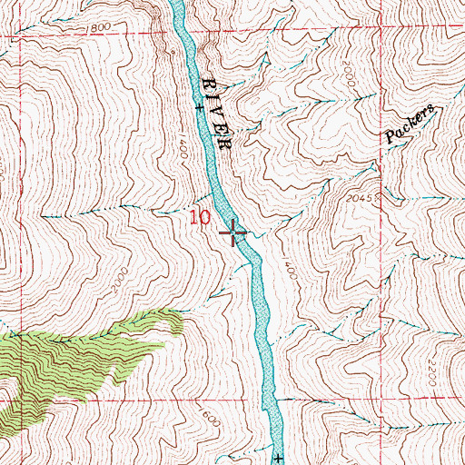 Topographic Map of Packers Creek, ID