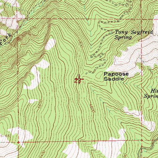 Topographic Map of Papoose Saddle, ID