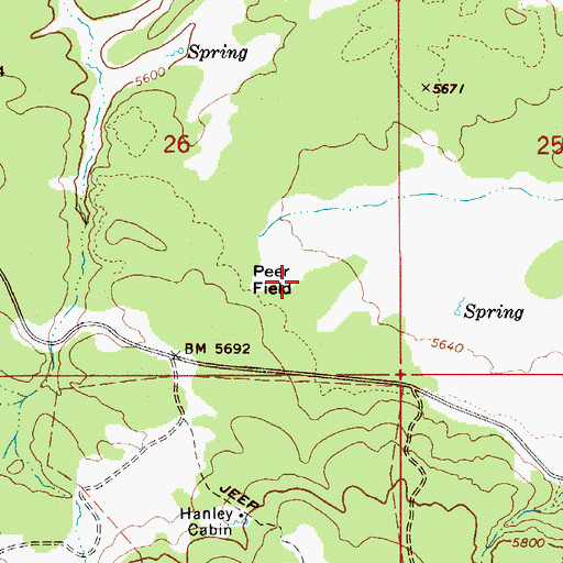 Topographic Map of Peer Field, ID