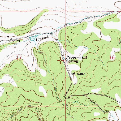 Topographic Map of Peppermint Spring, ID