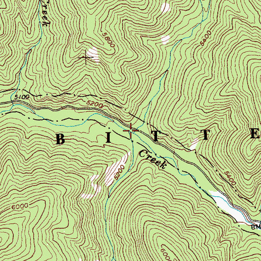 Topographic Map of Pete Creek, ID