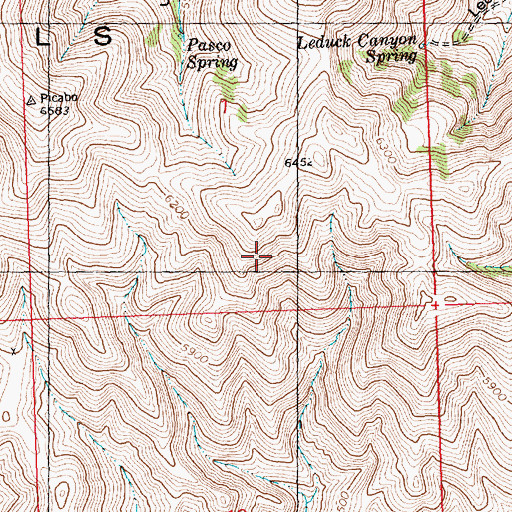 Topographic Map of Picabo Hills, ID