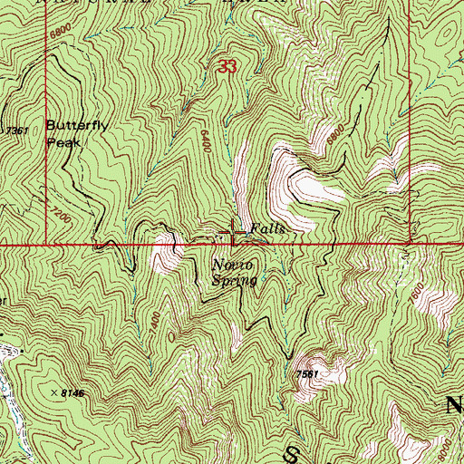 Topographic Map of Novio Spring, AZ