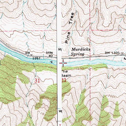 Topographic Map of Pine Tree Gulch, ID