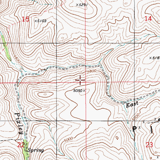 Topographic Map of Pixley Basin, ID