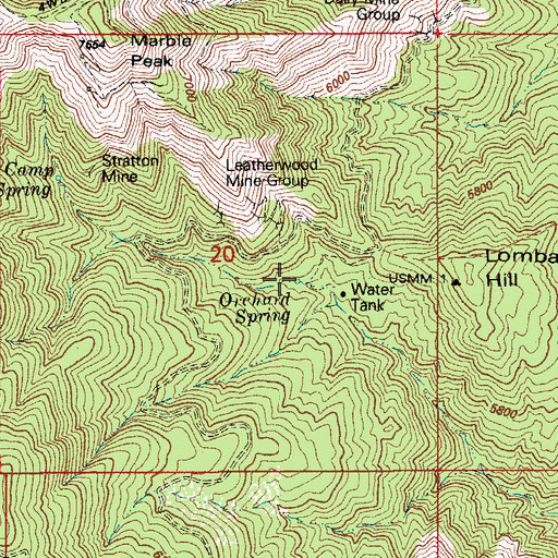 Topographic Map of Orchard Spring, AZ