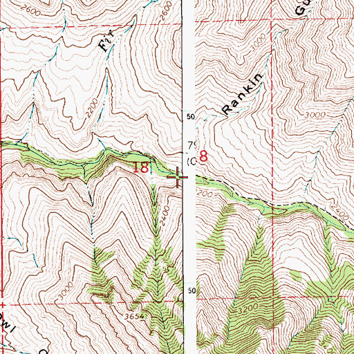 Topographic Map of Rankin Gulch, ID