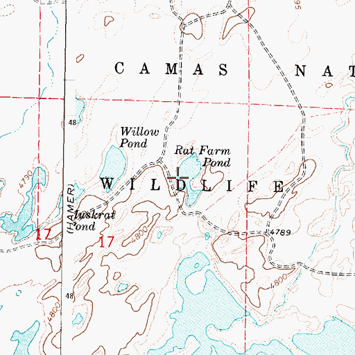 Topographic Map of Rat Farm Pond, ID