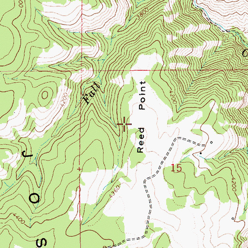 Topographic Map of Reed Point, ID
