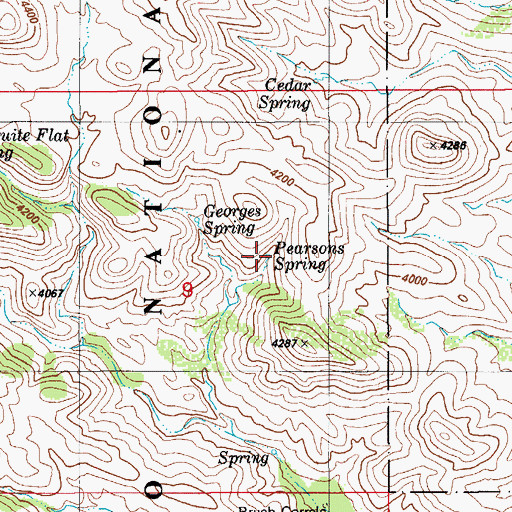 Topographic Map of Pearsons Spring, AZ