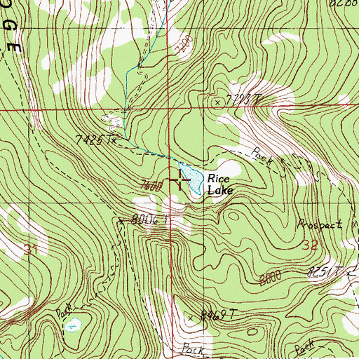 Topographic Map of Rice Lake, ID